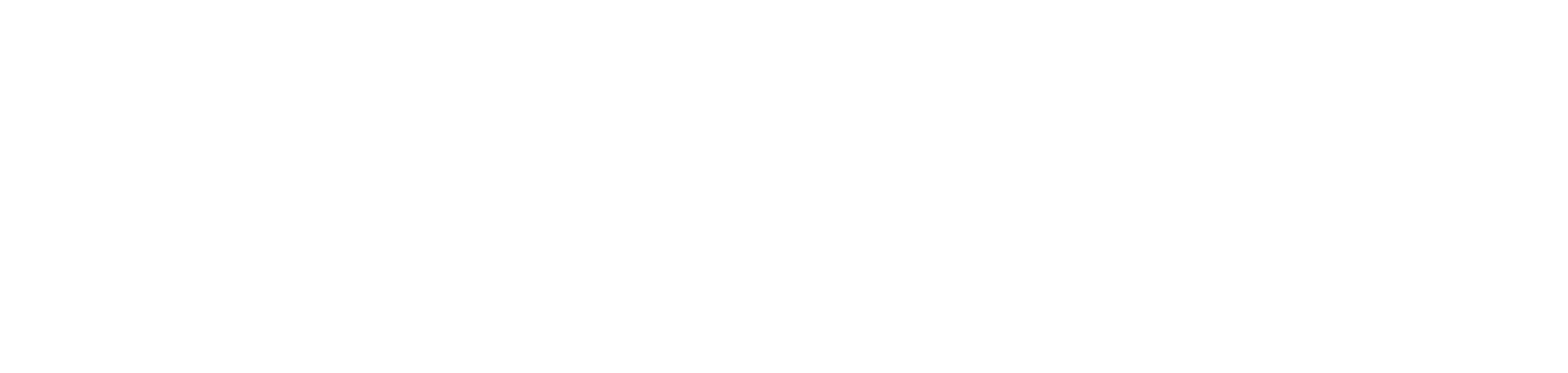 The Wellness Company
